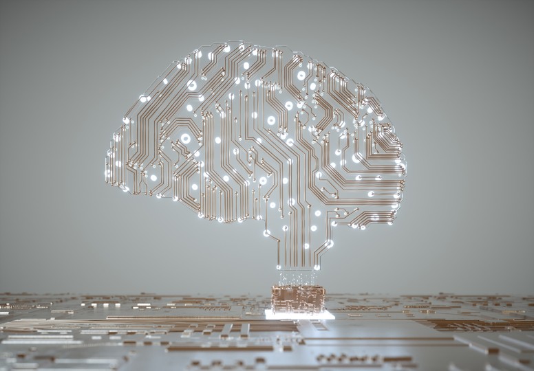 Declaración de We The Humans sobre Eurolink y los implantes cerebrales de Elon Musk