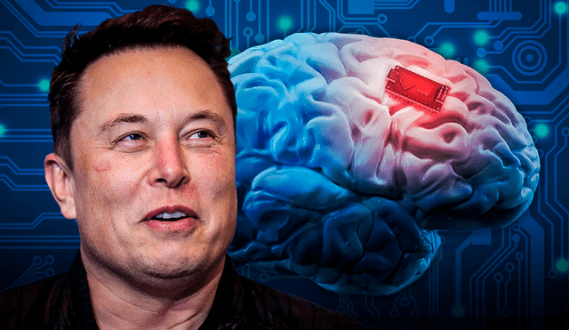 Declaración de We The Humans sobre Eurolink y los implantes cerebrales de Elon Musk